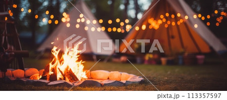 garden party with camp fire in summer 113357597