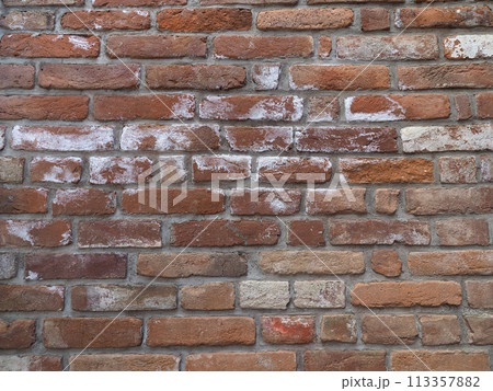 efflorescence and dampness moisture on wall 113357882