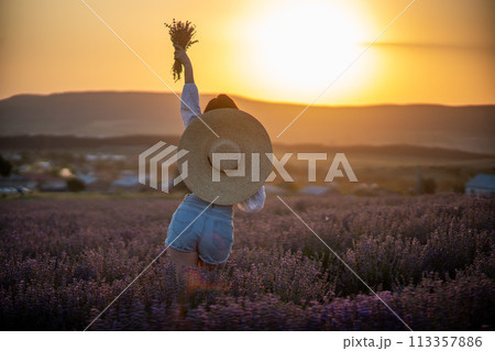 Woman lavender field sunset. Back view woman in a white blouse, denim shorts and hat. Aromatherapy concept, lavender oil, photo session in lavender 113357886
