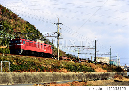 2004年　東海道本線を走るEF8177コンテナ貨物列車 113358366