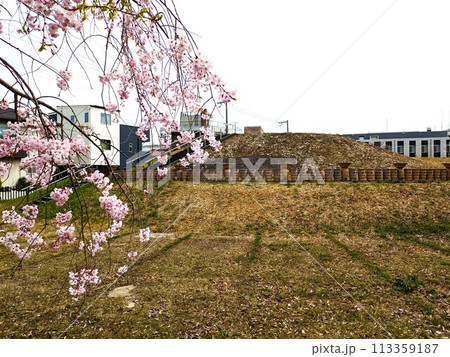 豊中の桜塚古墳群の御獅子塚古墳と桜 豊中の桜塚古墳群の御獅子塚古墳と桜 113359187