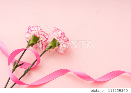 花 カーネーション 母の日 プレゼント 113359340