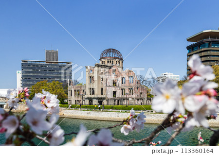 原爆ドームと桜 113360164