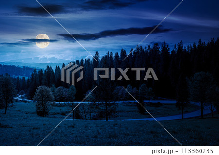 countryside scenery with forested mountains at night. asphalt country road winding through the valley in full moon light 113360235