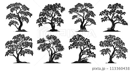 Southern tree silhouettes. Beautiful plants black art vector elements collection isolated on white background Southern tree silhouettes. Beautiful plants black art vector elements collection isolated on white background 113360438