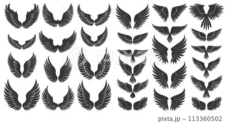 Bird wings black silhouettes. Different shapes plumage wing drawings isolated, winged graphics on white Bird wings black silhouettes. Different shapes plumage wing drawings isolated, winged graphics on white 113360502