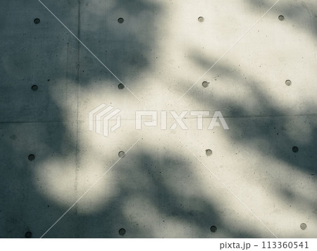 背景 バックグラウンド バックグランド 113360541