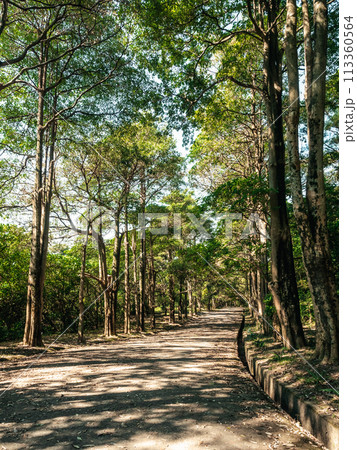 景色 風景 自然 113360564