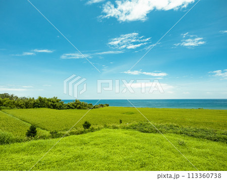 景色 風景 自然 113360738