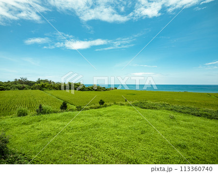 景色 風景 自然 113360740