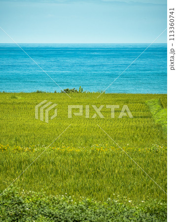 景色 風景 自然 113360741