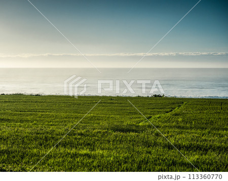 自然 天然 ナチュラル 113360770