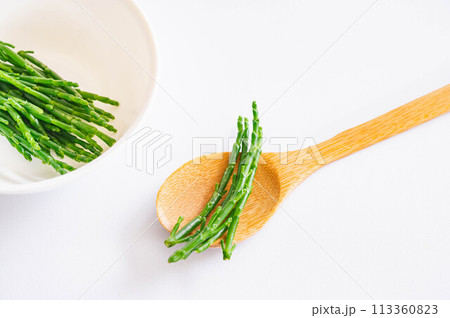 シーアスパラガス シーアスパラガス 113360823