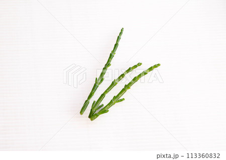 シーアスパラガス イスラエル産 シーアスパラガス イスラエル産 113360832