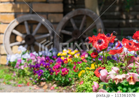 春の久屋大通庭園フラリエ、満開の花々〈愛知県名古屋市〉 春の久屋大通庭園フラリエ、満開の花々〈愛知県名古屋市〉 113361076