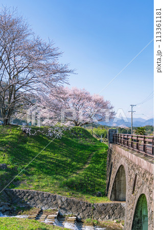 春の霞間ヶ渓、満開の桜〈岐阜県揖斐郡〉 春の霞間ヶ渓、満開の桜〈岐阜県揖斐郡〉 113361181