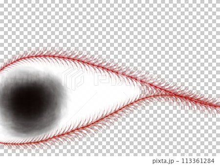 Eye 113361284