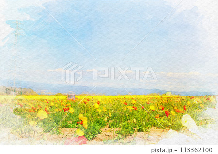 [知多郡]観光農園 花ひろばのポピーの水彩画 113362100