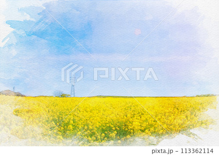 [知多郡]観光農園 花ひろばの菜の花畑の水彩画 113362114