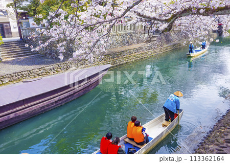 満開の桜の下で水門川舟下り【岐阜県大垣市】 113362164
