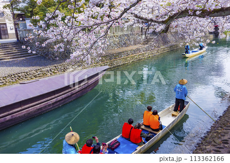 満開の桜の下で水門川舟下り【岐阜県大垣市】 113362166