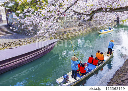 満開の桜の下で水門川舟下り【岐阜県大垣市】 113362169