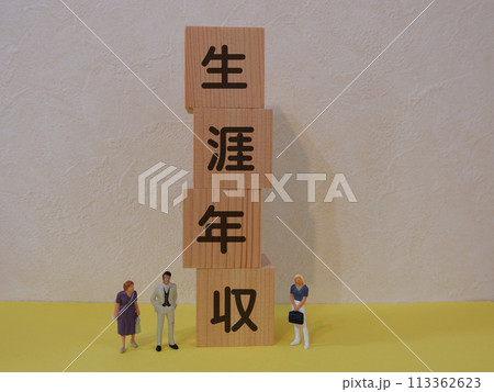 生涯年収のアイキャッチ画像 生涯年収のアイキャッチ画像 113362623