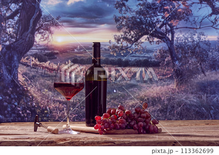 Winemaking industry. Bottle and glass of red wine with grapes lying on wooden table wit amazing view on vineyard 113362699