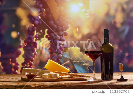 Captivating image showing essence of winemaking, with wine bottle and glass of red wine, cheese set on backdrop of scenic grape trees 113362702