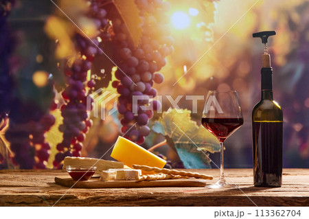 Captivating image capturing essence of winemaking, with wine bottle and glass of red wine, cheese set against backdrop of scenic grape trees Captivating image capturing essence of winemaking, with wine bottle and glass of red wine, cheese set against backdrop of scenic grape trees 113362704