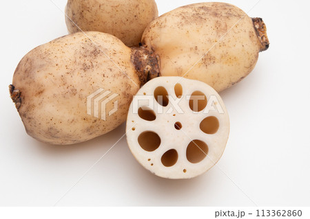 レンコン 蓮根 レンコン 蓮根 113362860