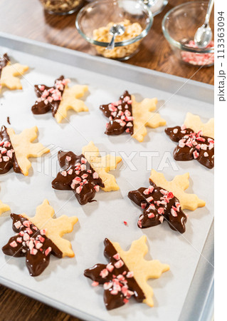 Preparing star-shaped cookies, half-dipped in chocolate, accented with peppermint chocolate chips for the holidays. Preparing star-shaped cookies, half-dipped in chocolate, accented with peppermint chocolate chips for the holidays. 113363094