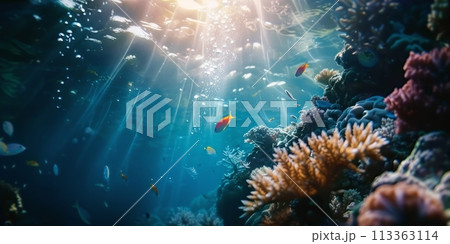 Underwater view of sunrays shining through the ocean surface 113363114