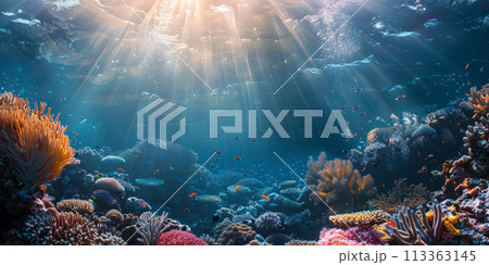 Underwater view of sunrays shining through the ocean surface 113363145