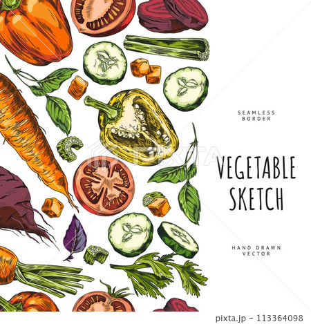 Colorful hand-drawn vegetable border vector Colorful hand-drawn vegetable border vector 113364098