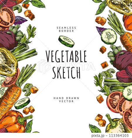 Colorful vegetable border vector illustration 113364103