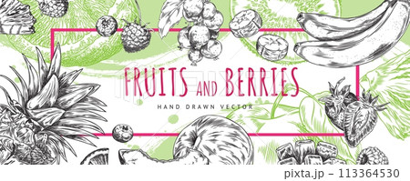 Hand drawn fruit and berry banner with space for text. 113364530