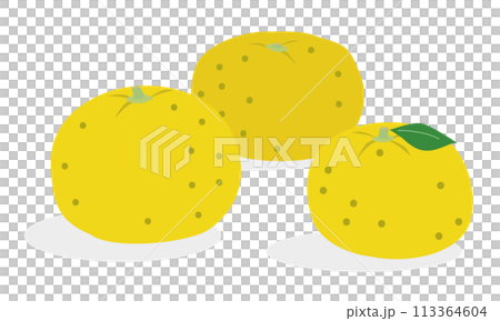 柑橘類である柚子のイラスト 113364604
