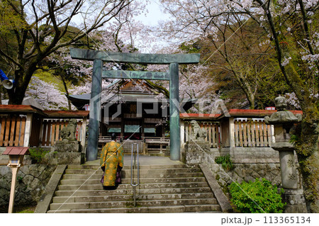 福井県敦賀市　金ヶ崎宮　花換祭 113365134
