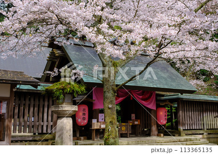 福井県敦賀市　金ヶ崎宮　花換祭 113365135