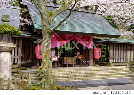 福井県敦賀市　金ヶ崎宮　花換祭 113365136