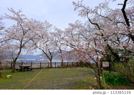 福井県敦賀市 金ヶ崎宮 花換祭 福井県敦賀市 金ヶ崎宮 花換祭 113365139
