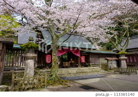 福井県敦賀市　金ヶ崎宮　花換祭 113365140