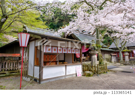 福井県敦賀市　金ヶ崎宮　花換祭 113365141