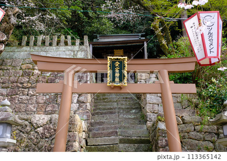 福井県敦賀市　金ヶ崎宮　花換祭 113365142