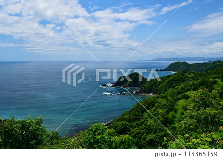 空の青、海の青が木々の緑に映える高知県横波半島 空の青、海の青が木々の緑に映える高知県横波半島 113365159