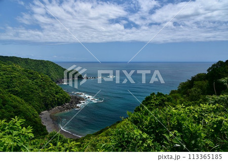 空の青、海の青が木々の緑に映える高知県横波半島 空の青、海の青が木々の緑に映える高知県横波半島 113365185