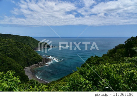空の青、海の青が木々の緑に映える高知県横波半島 空の青、海の青が木々の緑に映える高知県横波半島 113365186