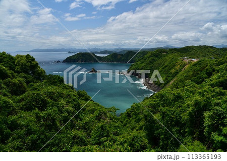 空の青、海の青が木々の緑に映える高知県横波半島 空の青、海の青が木々の緑に映える高知県横波半島 113365193