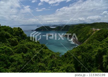 空の青、海の青が木々の緑に映える高知県横波半島 113365199